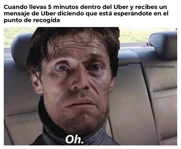 Otros - ¿Dónde me he subido?