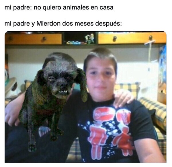 Otros - Finalmente acabamos adoptando a Mierdon