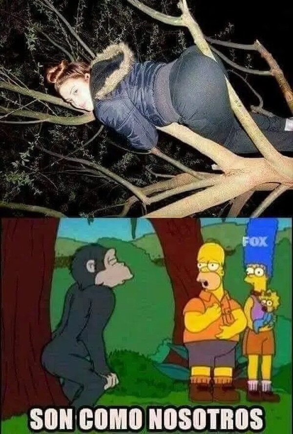 Meme_otros - No somos tan diferentes