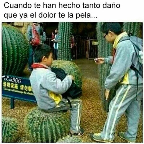 Meme_otros - Inmune al dolor