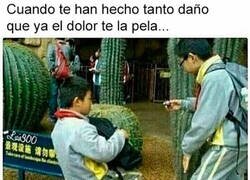 Enlace a Inmune al dolor