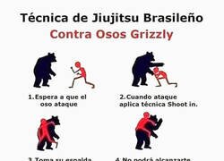 Enlace a Cómo sobrevivir a un oso grizzly