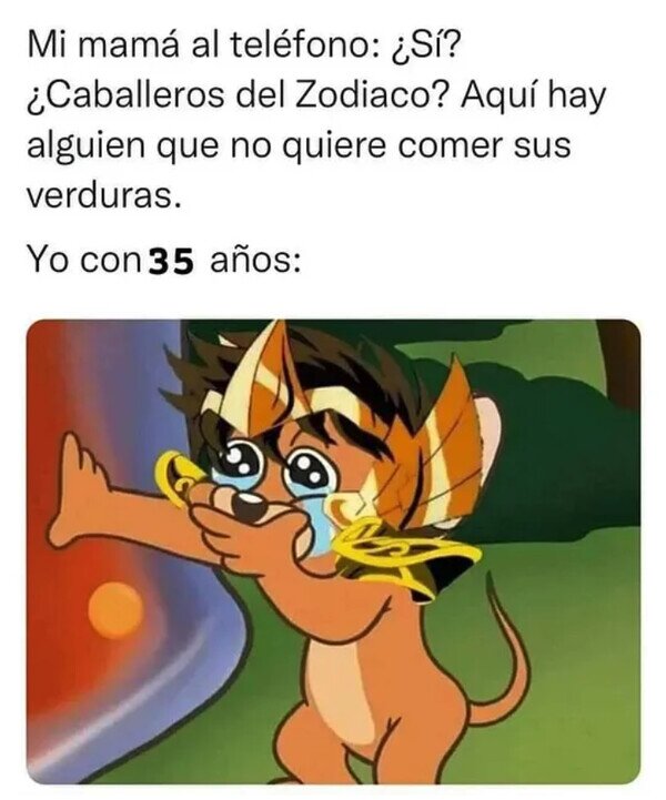 Meme_otros - No, por favor...