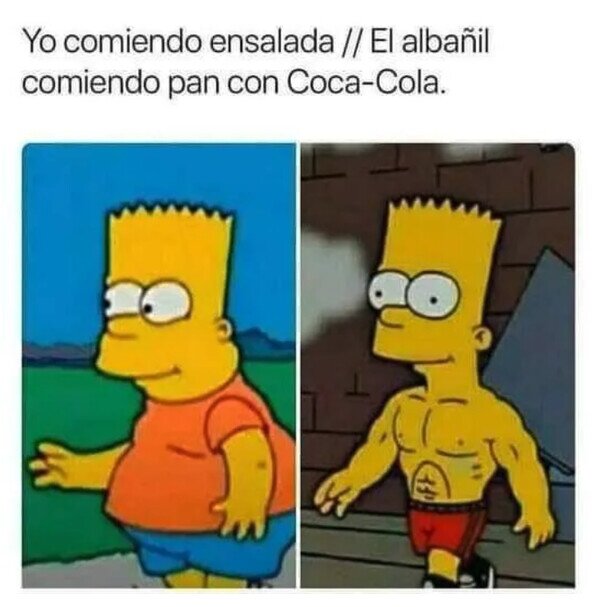 comer,ensalada,albañil,fuerte,gordo,pan,cola