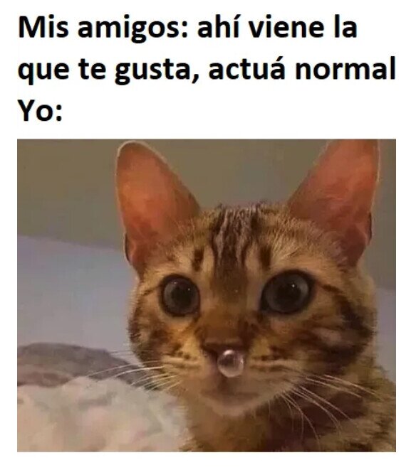 Meme_otros - Burbuja inoportuna