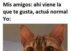 Enlace a Burbuja inoportuna