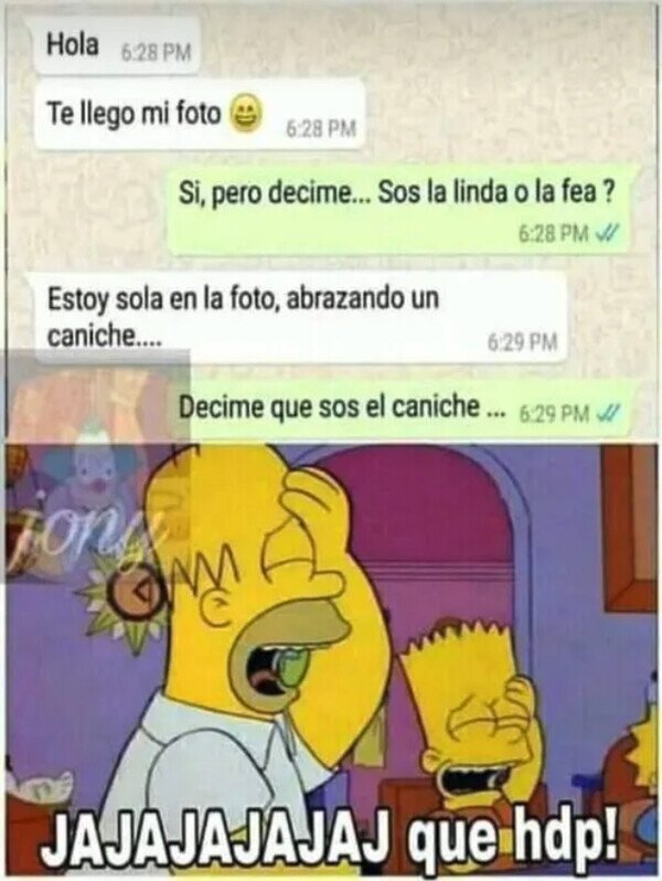 Meme_otros - Debía ser un bellísimo caniche