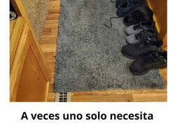 Enlace a Imágenes random de conejos