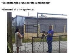 Enlace a Lo anuncia a bombo y platillo