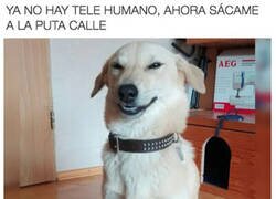 Enlace a Acabando con las excusas de raíz