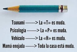 Enlace a Cuando se enmudece