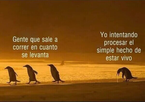 Meme_otros - Estilos de vida muy diferentes