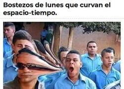 Enlace a Y de martes, y de miércoles...