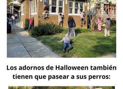 Enlace a Decoraciones de Halloween que juegan en otra liga