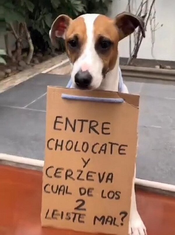 Meme_otros - Reconozco que ambos