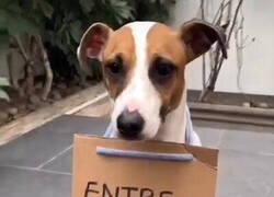 Enlace a Reconozco que ambos