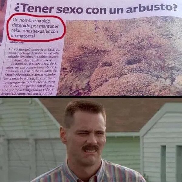 Meme_otros - Yo cuando intento informarme leyendo noticias