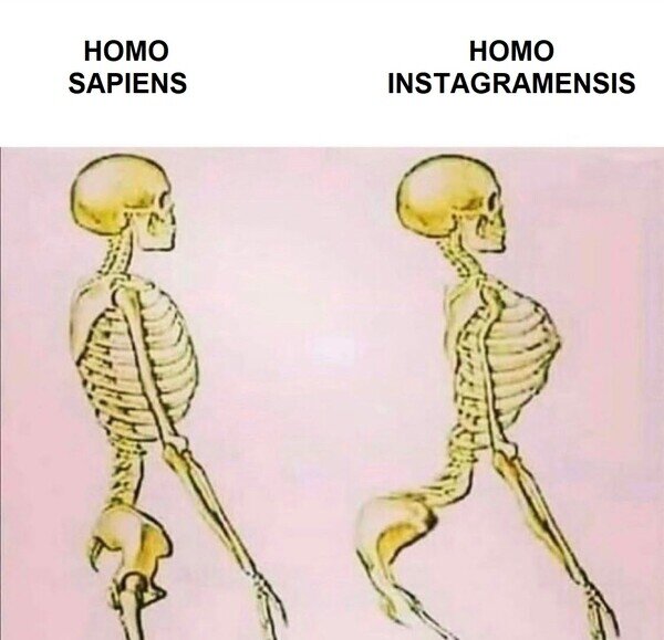 Meme_otros - Nueva especie vista por las redes