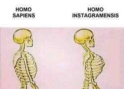 Enlace a Nueva especie vista por las redes