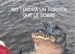 Enlace a Disculpe, señor guía...