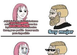 Enlace a Hecha la ley, hecha la trampa