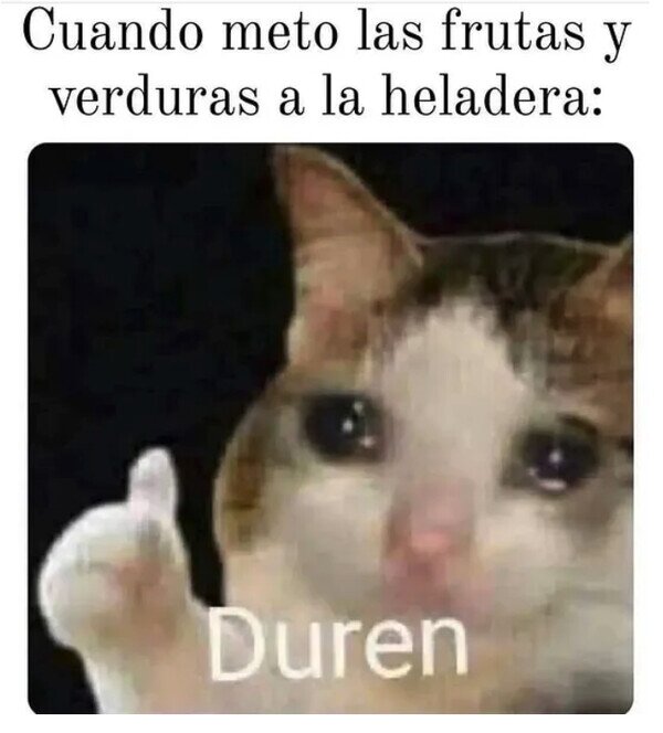 Meme_otros - No os pongáis malas...