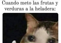 Enlace a No os pongáis malas...