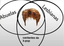 Enlace a Un peinado en común