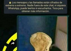 Enlace a No sabe reconocer la dignidad cuando la tiene delante