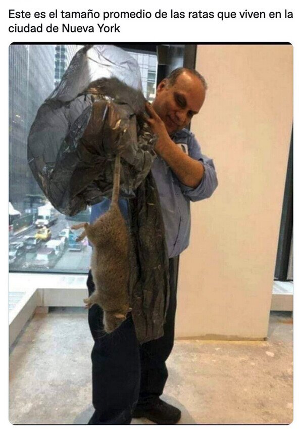 Meme_otros - No queráis ver las que superan la media