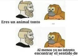Enlace a ¿Quién es el animal tonto?