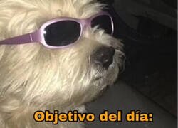 Enlace a Quiero cumplir mi meta