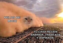 Enlace a Pasa demasiado