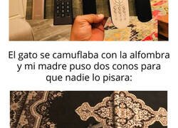 Enlace a Personas ingeniosas que podrían trabajar en la NASA