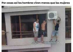 Enlace a Selección natural