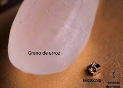 Enlace a Se ven realmente pequeños