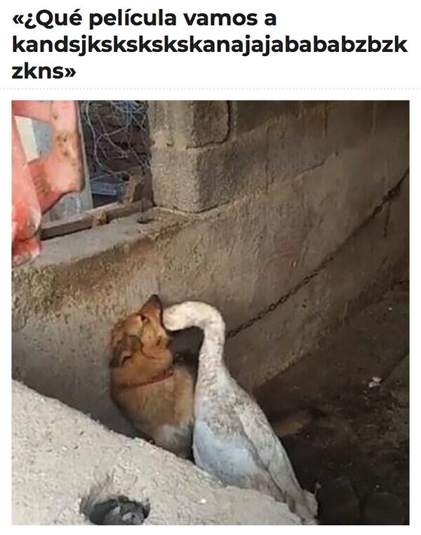 Meme_otros - Mientras tanto, en casa de alguien...