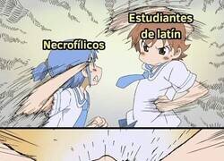 Enlace a Cada uno a su manera