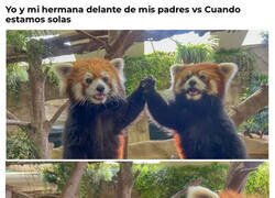 Enlace a No nos llevamos tan bien como hacemos ver