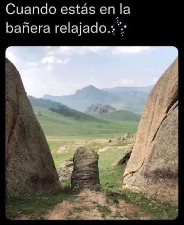 Meme_otros - Esto es exactamente lo que ves