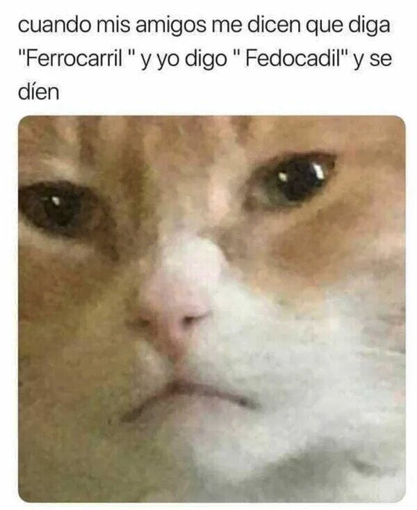 Meme_otros - Son unos cabdones