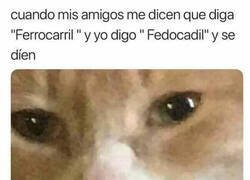 Enlace a Son unos cabdones