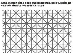 Enlace a Ilusión óptica