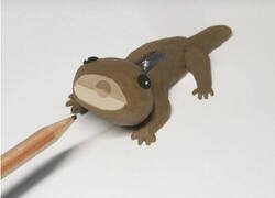 Enlace a No uso lápices, pero lo necesito ya