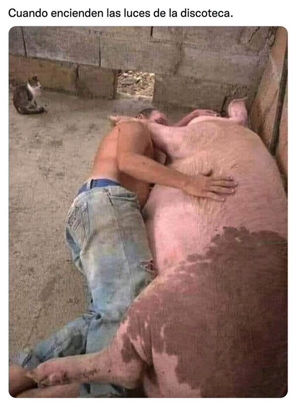 Meme_otros - ¡Sorpresa!