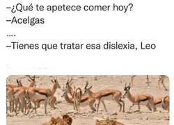 Enlace a Un león que se llama Leo jaja