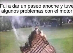Enlace a Meme para brujas