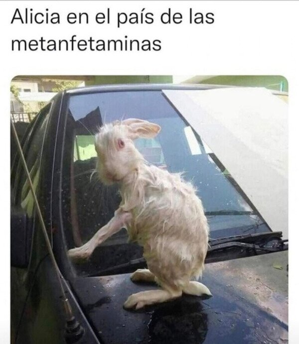Meme_otros - Está versión no era para niños