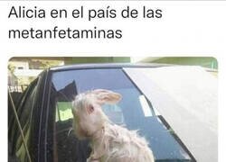 Enlace a Está versión no era para niños