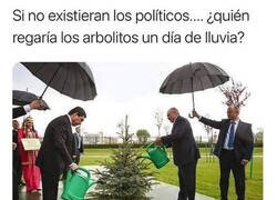 Enlace a ¿Qué haríamos sin ellos?